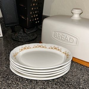 Buffalo 🦬 China Appetizer Plates